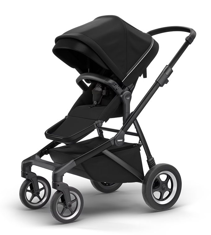 Thule Sleek